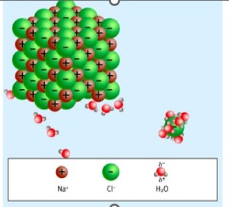 Hydration of ions in water