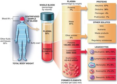 Composition of blood plasma