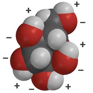 Hydrophilic glucose molecule
