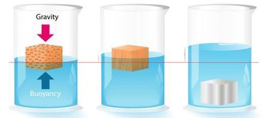 Buoyancy in water
