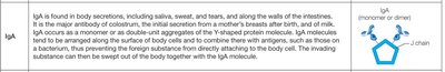 IgA dimer/monomer diagram