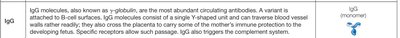 IgG monomer diagram