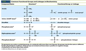 Table of additional functional groups in biochemistry