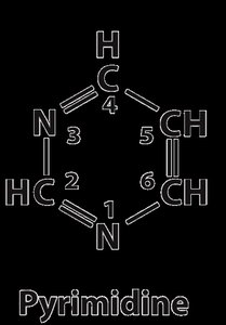 ATP structure with anhydride and ester bonds