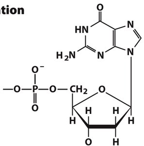 Inosine and pseudouridine structures