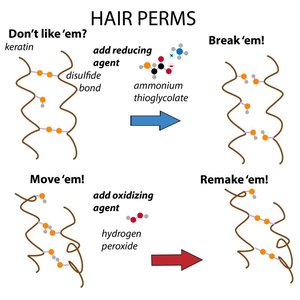 Hair perm chemistry and disulfide bonds