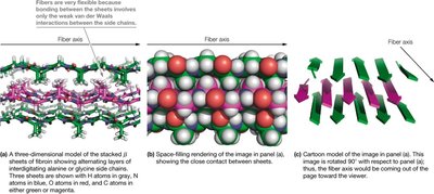 Stacked beta sheets in fibroin