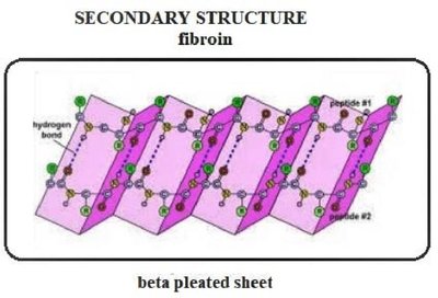 Beta pleated sheet structure in fibroin