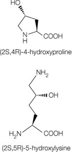 Hydroxyproline and hydroxylysine modifications