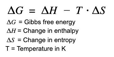 Non-covalent interactions in protein folding