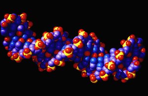 Resumen de la fase preparatoria de la glucólisis