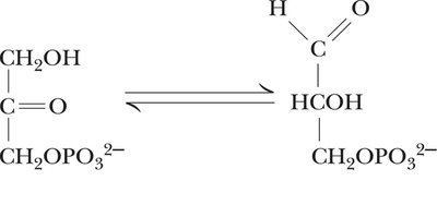 Triose phosphate isomerase mechanism