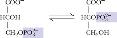 Phosphoglycerate mutase reaction