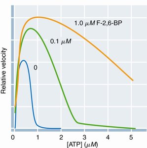 Graph showing effect of F-2,6-BP on PFK-1 activity