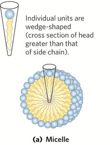 Micelle structure