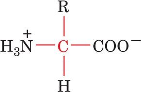 Amino acid as a zwitterion at neutral pH