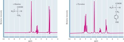 Proton NMR spectra of amino acids