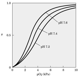Effect of pH on O2 binding to hemoglobin