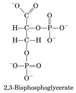 BPG binding to hemoglobin