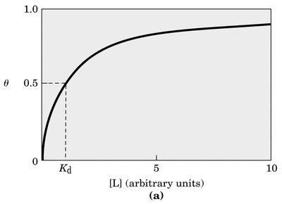 Ligand binding curve showing Kd