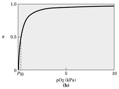 Oxygen binding curve for myoglobin showing P50