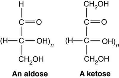 General structure of aldose and ketose