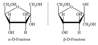 α and β anomers of D-fructose