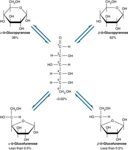 Equilibrium distribution of glucose forms