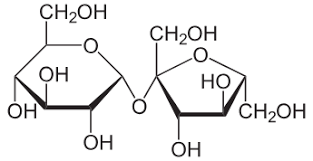 Structure of sucrose