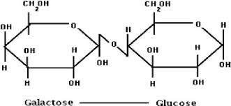 Structure of lactose