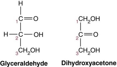 Structures of glyceraldehyde and dihydroxyacetone