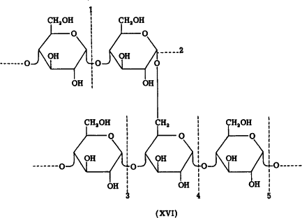Structure of starch