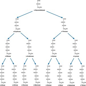 Monosaccharide family tree