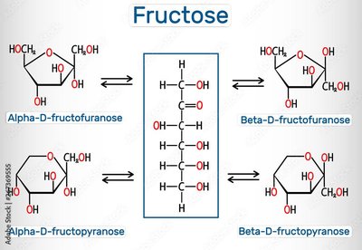 Fructose ring forms