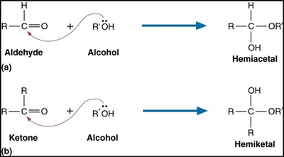 Formation of hemiacetals and hemiketals