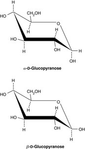α and β anomers of D-glucose (alternate view)