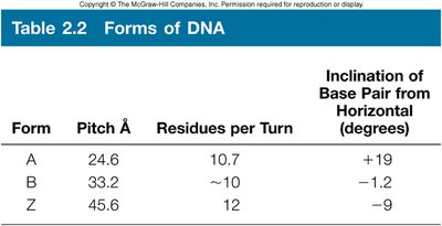 Table of DNA forms: A, B, Z