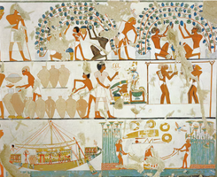 Ancient Egyptians manufacturing wine