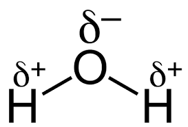 Hydrogen bonding between water molecules