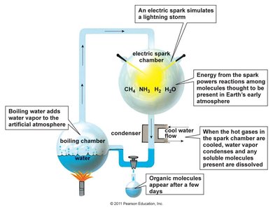 Miller-Urey experiment setup