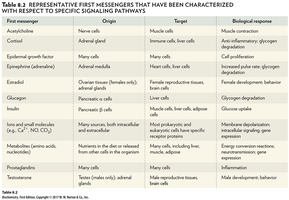 Table of representative first messengers