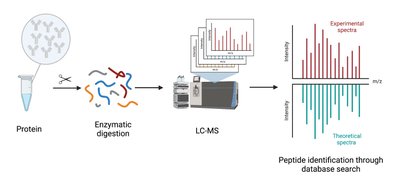 LC-MS workflow for peptide identification