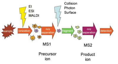 Tandem mass spectrometry (MS/MS) workflow
