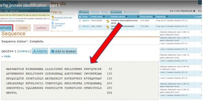 Database search for protein identification
