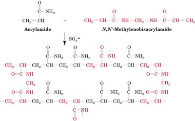 Polyacrylamide gel formation reaction