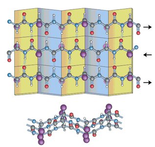 Antiparallel beta sheet