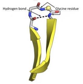 Beta-hairpin turn schematic