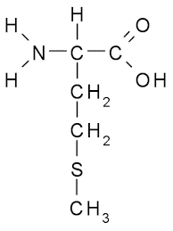 Methionine structure