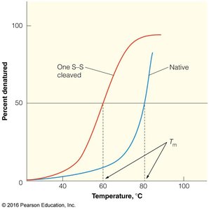 Thermal denaturation curve of BPTI