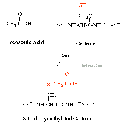 Carboxymethylation of cysteine